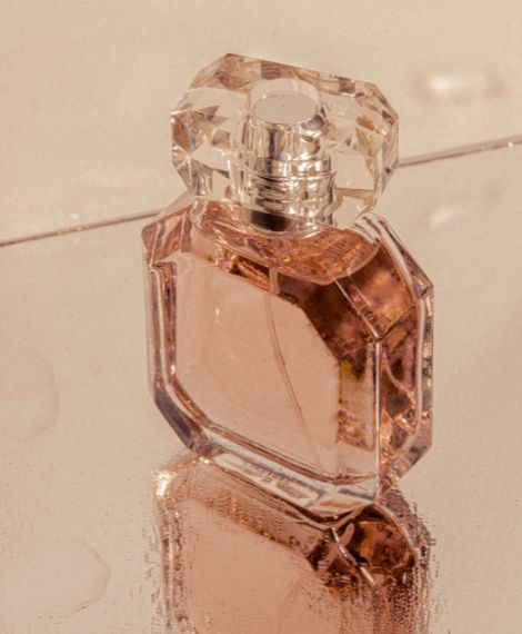 diseño sin título (8)