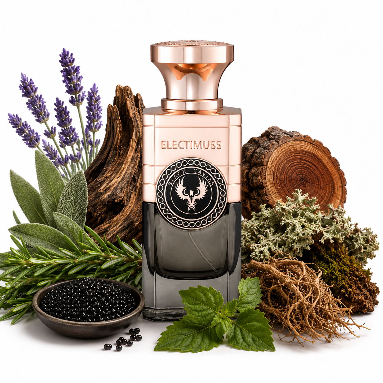 BLACK CAVIAR ELECTIMUSS