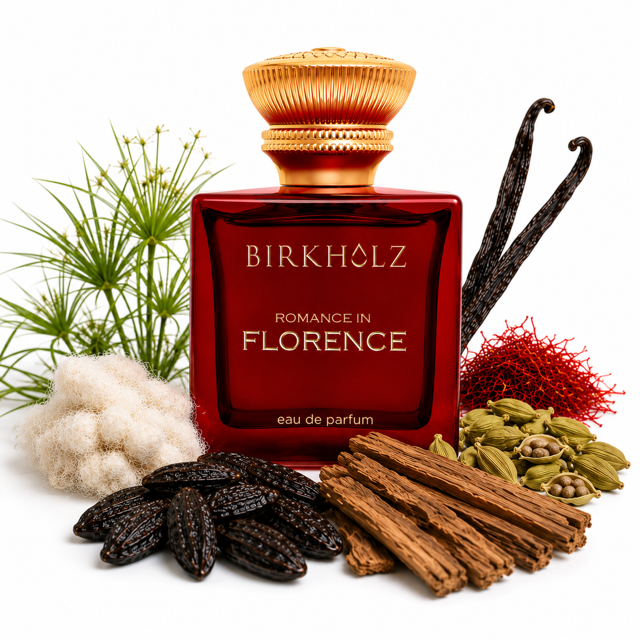 ROMANCE IN FLORENCE BIRKHOLZ